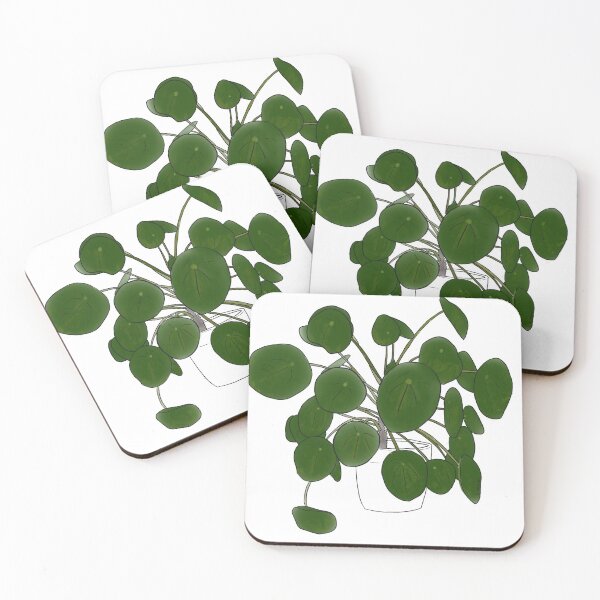 Item preview, pilea peperomioides doodle designed and sold by okplantdoodles.