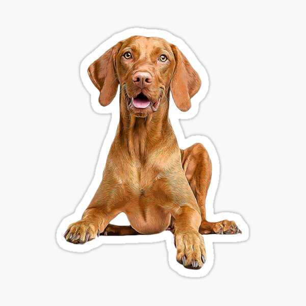 Love Vizslas Breed Gift Vizslas Heart Vinyl Decal Vizsla Dog Bumper Sticker Love Vizslas Breed Gift Vizslas Heart Vinyl Decal Vizsla Dog Bumper Sticker