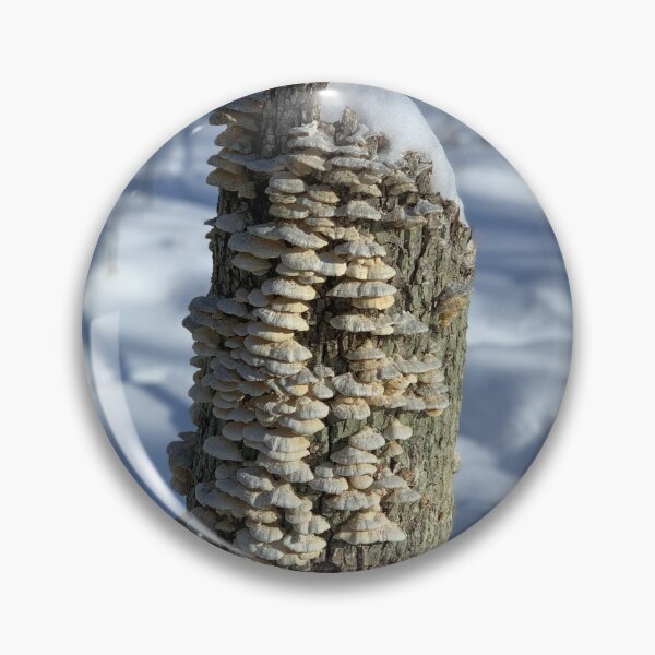 Item preview, Winter in Michigan designed and sold by Jheinzelmann.