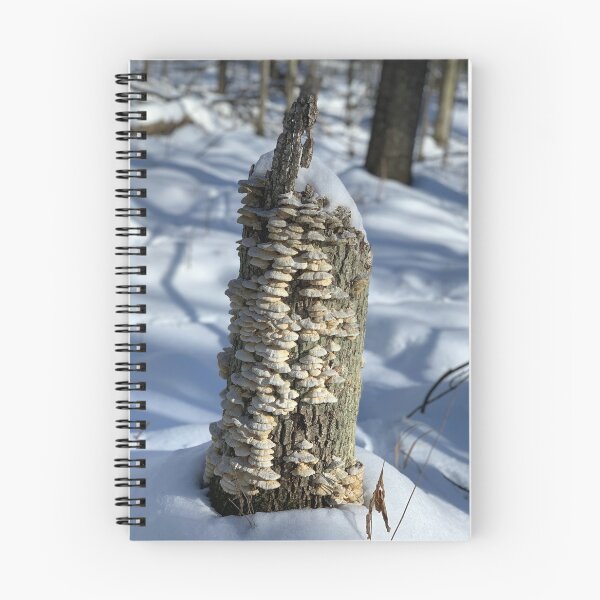 Item preview, Winter in Michigan designed and sold by Jheinzelmann.
