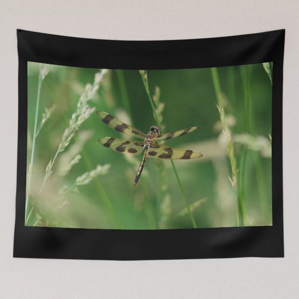 Item preview, Halloween Pennant Dragonfly in the Grass designed and sold by LisaNaturePhoto.
