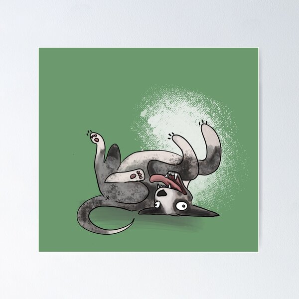 Item preview, True to life illustrations of dogs - Australian Koolie designed and sold by jessbellphoto.