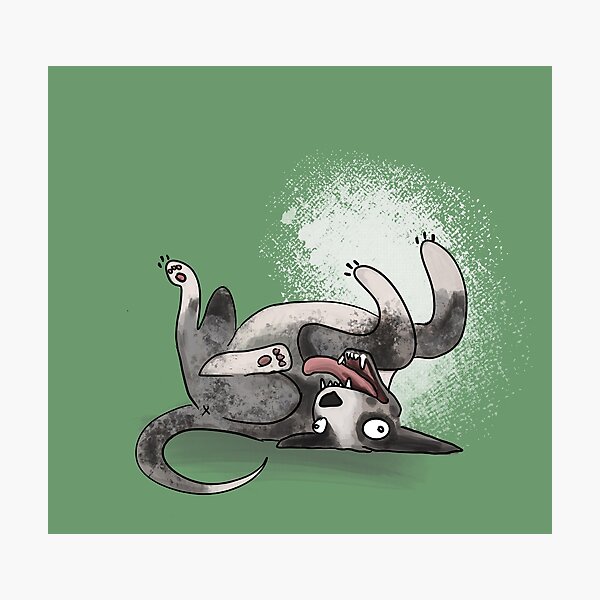 Item preview, True to life illustrations of dogs - Australian Koolie designed and sold by jessbellphoto.
