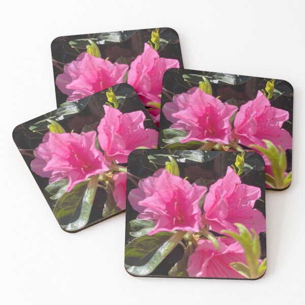 Item preview, Beauty Trifecta designed and sold by JustJujubee.