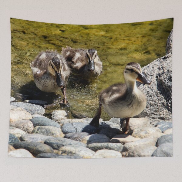 Item preview, Hey, Where's the Food? designed and sold by heatherfriedman.
