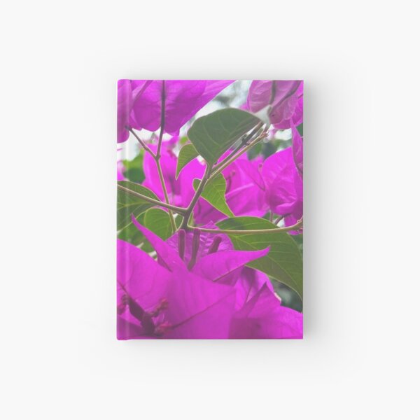 Santa Rita Gifts & Merchandise for Sale | Redbubble