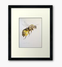 Honey Bee by Liz H Lovell Framed Print