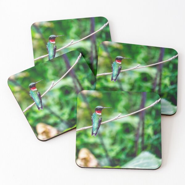Item preview, Male Ruby-Throated Hummingbird Perched designed and sold by Thymely.