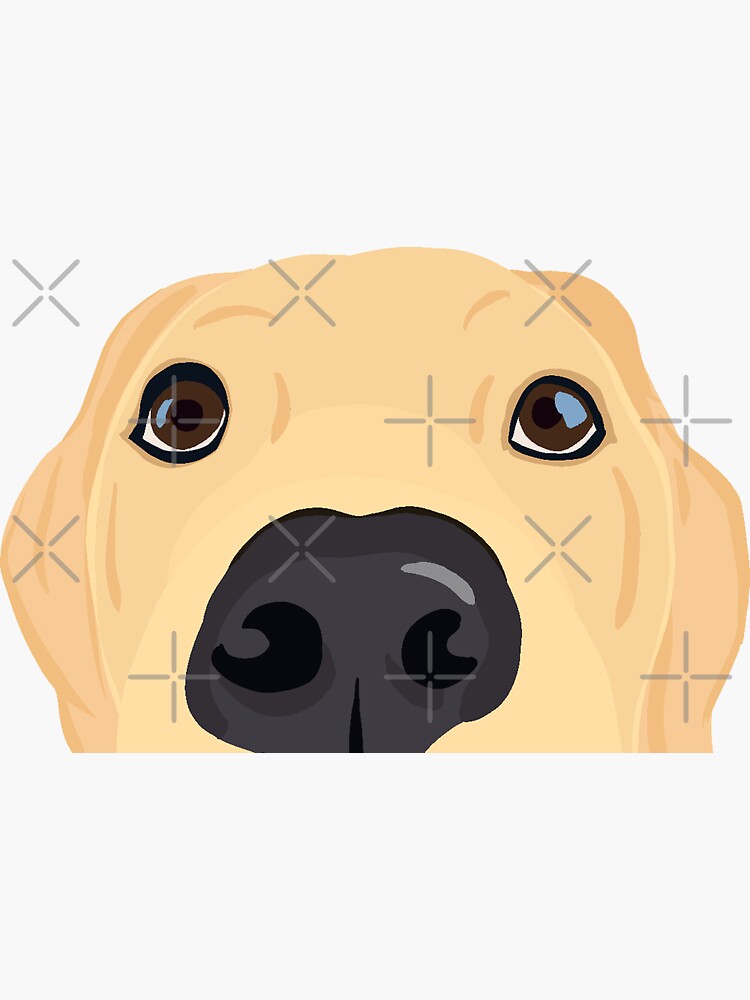 Thumbnail 3 of 3, Sticker, Curious Yellow Labrador Puppy designed and sold by kherrin.