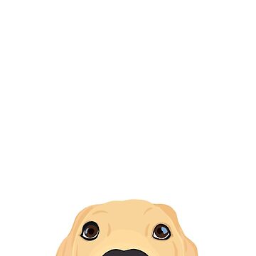 Artwork thumbnail, Curious Yellow Labrador Puppy by kherrin