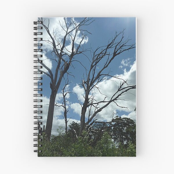Item preview, *Hereafter Beauty  - Creswick, Vic. Australia*  designed and sold by EdsMum.