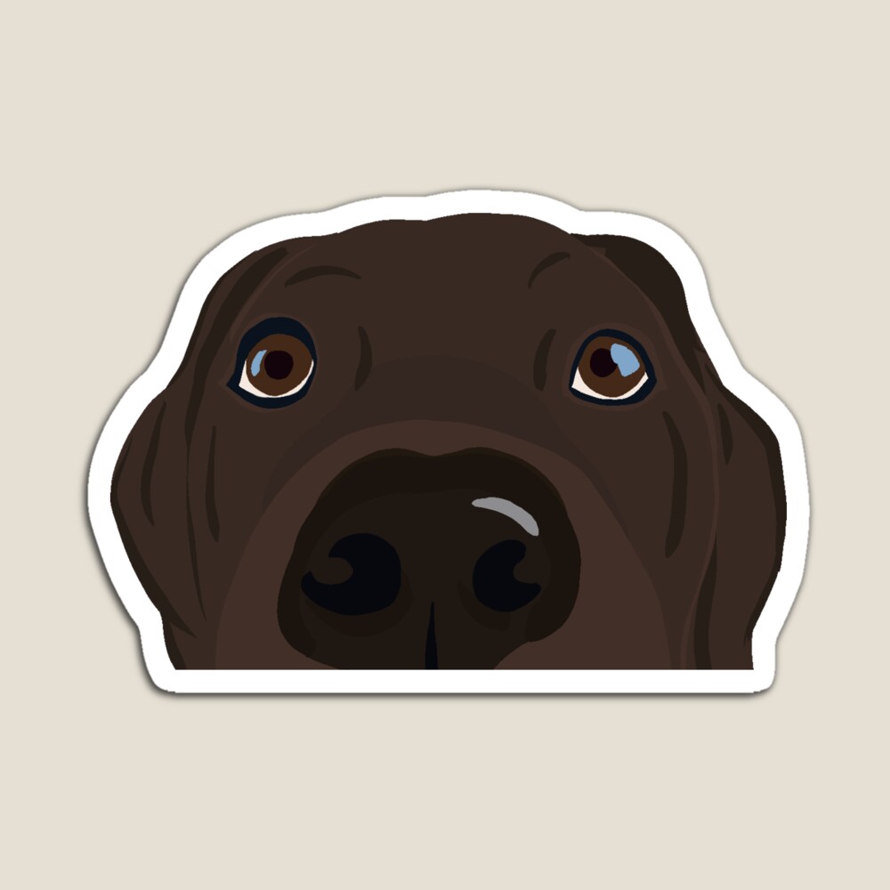 Chocolate Lab in a Yeti Cooler  Sticker for Sale by Cactus0