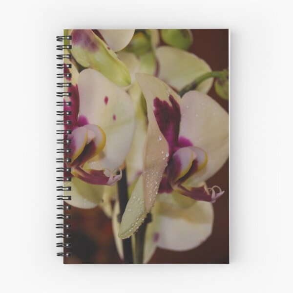 Aperçu de l'œuvre Orchidée créée et vendue par FideliDesigns.