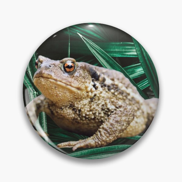 Item preview, Frog on Green Leaves designed and sold by RBDESIGN SHOP.