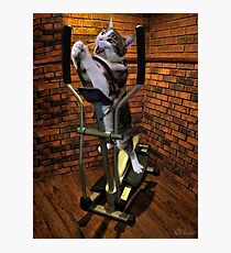 "MOM BRING ME SOME WATER THIS WORKOUT IS KILLING ME" CAT-FELINE EXERCISE PICTURE/CARD Photographic Print