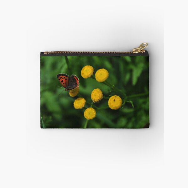 Item preview, American Copper  - Lycaena phlaeas  designed and sold by Poete100.