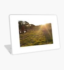 Mountian Laptop Skin
