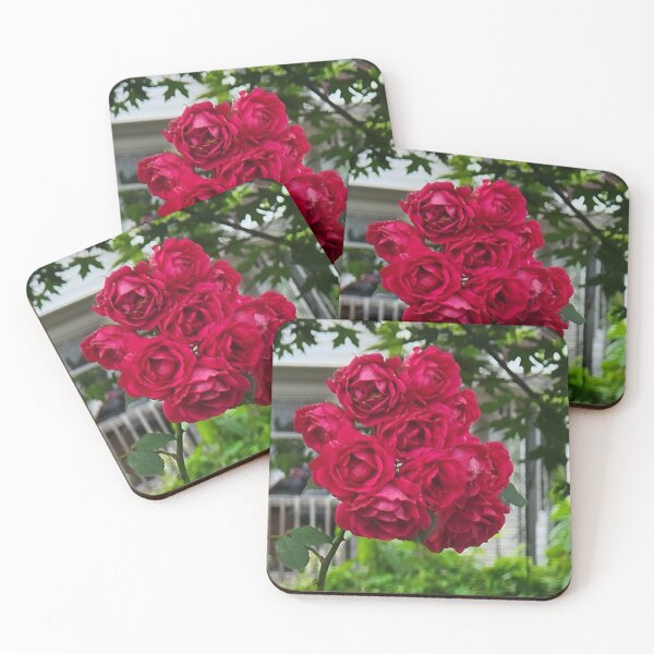 Artikelvorschau, Strauß roter Rosen entworfen und verkauft von GypsyPortal.