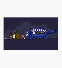 Doctor Totoro Photographic Print