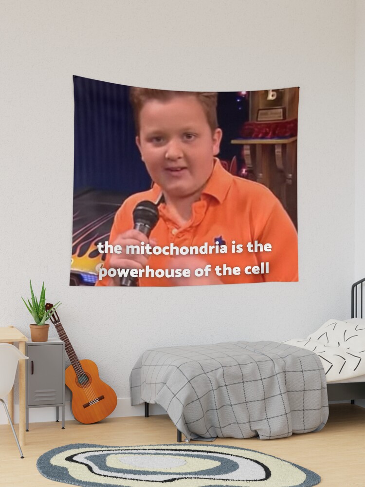 Icarly tapestry discount