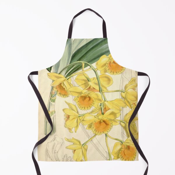 Item preview, Dendrobium chrysotoxum designed and sold by EsotericBotanic.