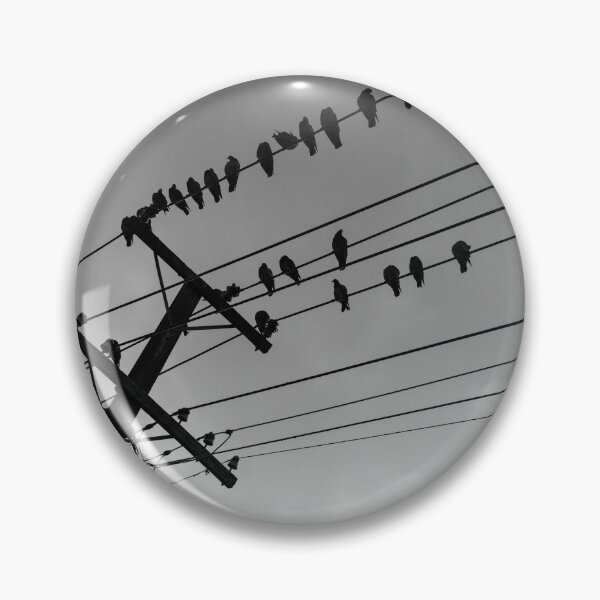 Item preview, Power-line pigeons roosting, flying away and arriving on favorite powerlines designed and sold by Brian Scantlebury.
