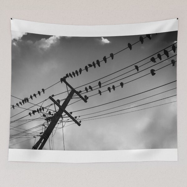 Item preview, Power-line pigeons roosting, flying away and arriving on favorite powerlines designed and sold by Brian Scantlebury.