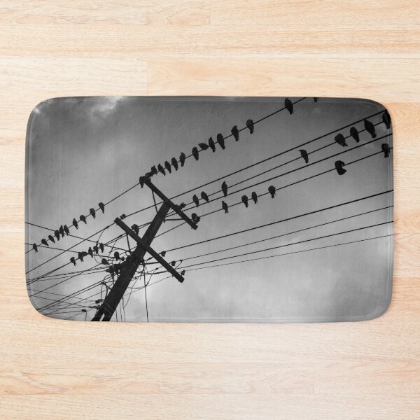 Item preview, Power-line pigeons roosting, flying away and arriving on favorite powerlines designed and sold by Brian Scantlebury.