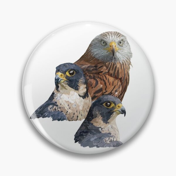 Item preview, Kite and Peregrine Falcon designed and sold by obscurite.