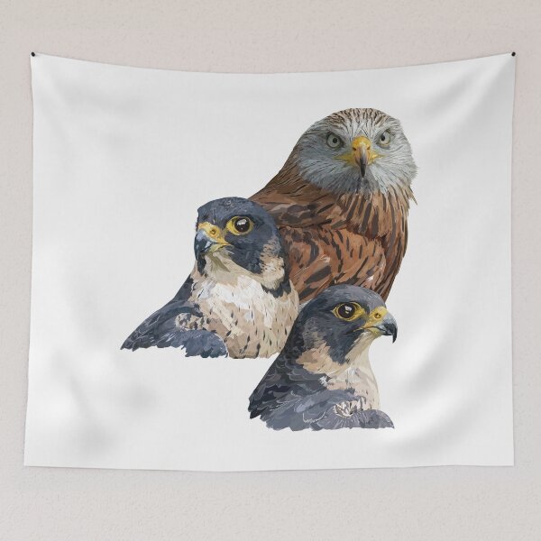 Item preview, Kite and Peregrine Falcon designed and sold by obscurite.