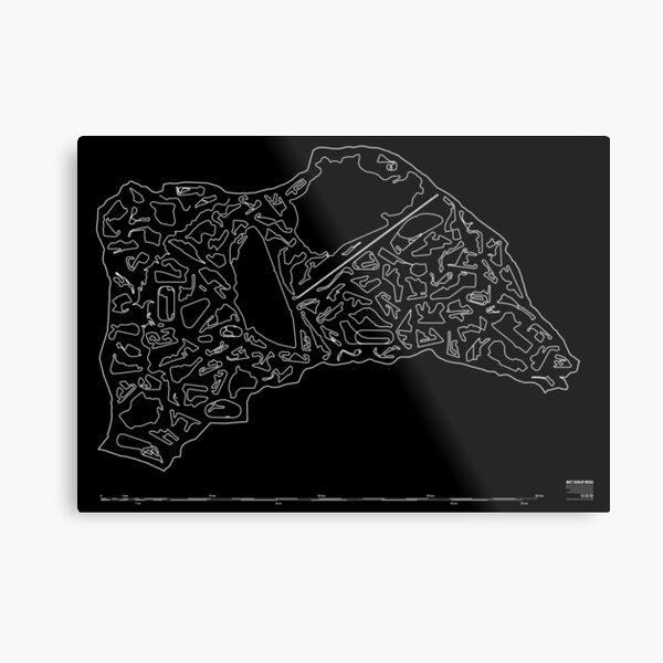 F1 Metal Prints for Sale | Redbubble