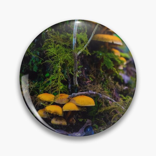Item preview, The fairy's forest designed and sold by CostaRicaNature.