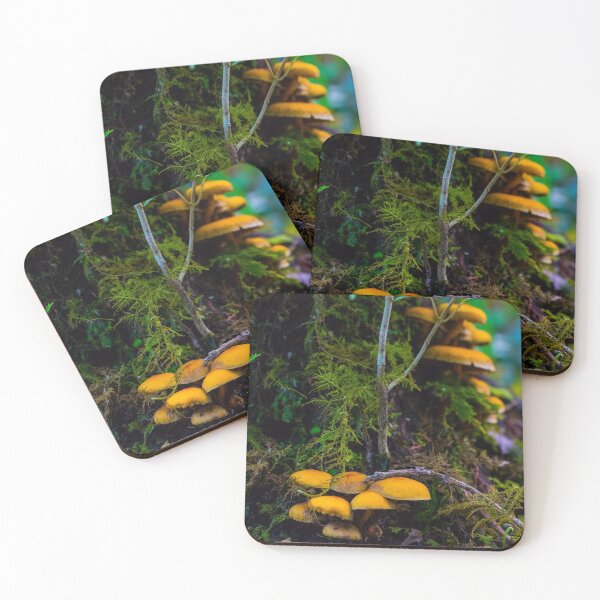 Item preview, The fairy's forest designed and sold by CostaRicaNature.