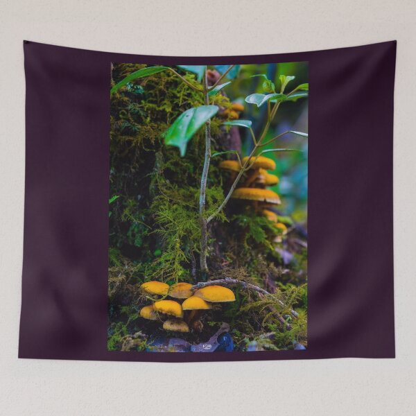 Item preview, The fairy's forest designed and sold by CostaRicaNature.
