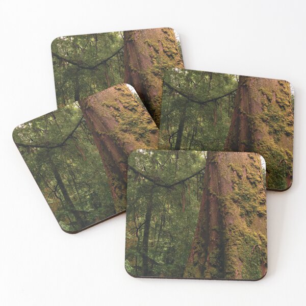 Item preview, Mossy Tree in Forest designed and sold by Shane O'Sullivan.