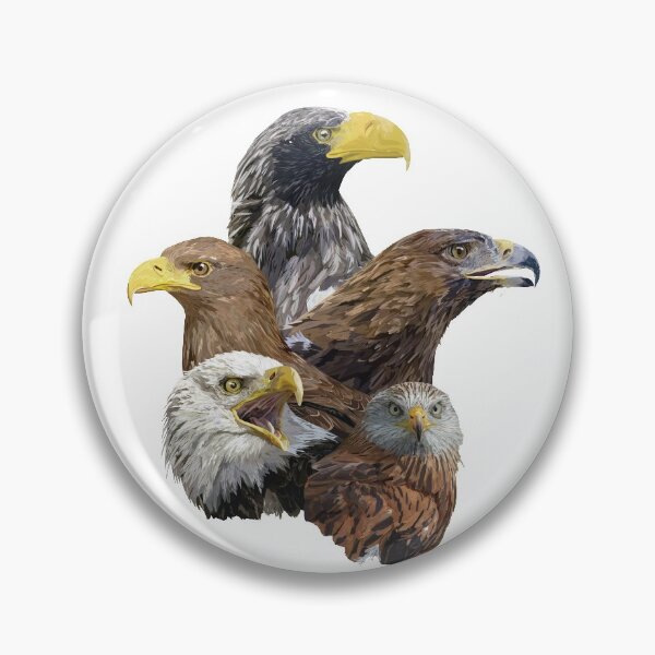 Item preview, Kite and raptors designed and sold by obscurite.