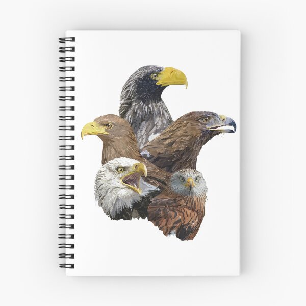 Item preview, Kite and raptors designed and sold by obscurite.