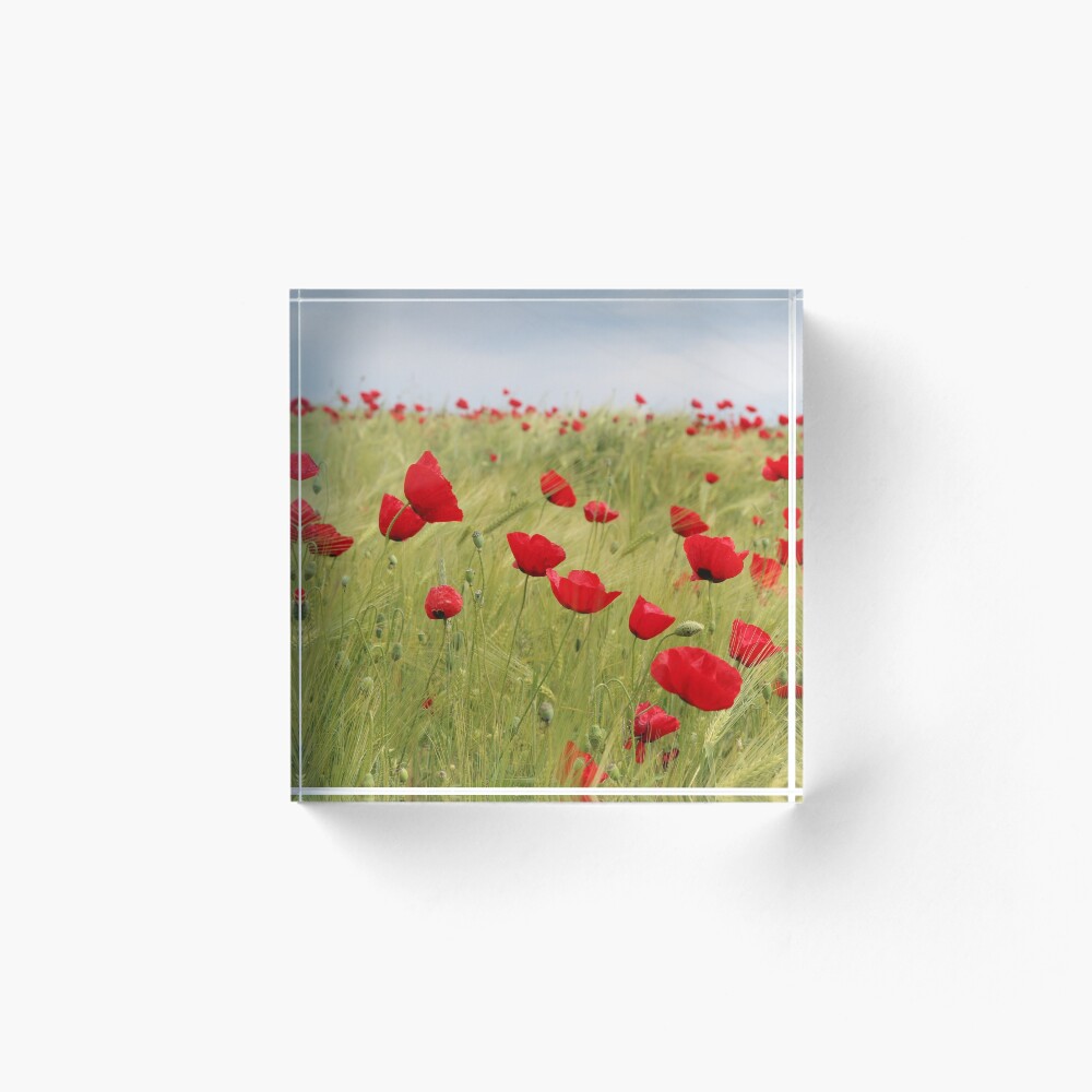 Item preview, Acrylic Block designed and sold by DesignerCate.