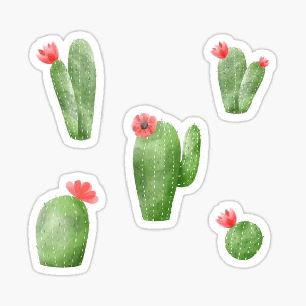 Cactus  Sticker