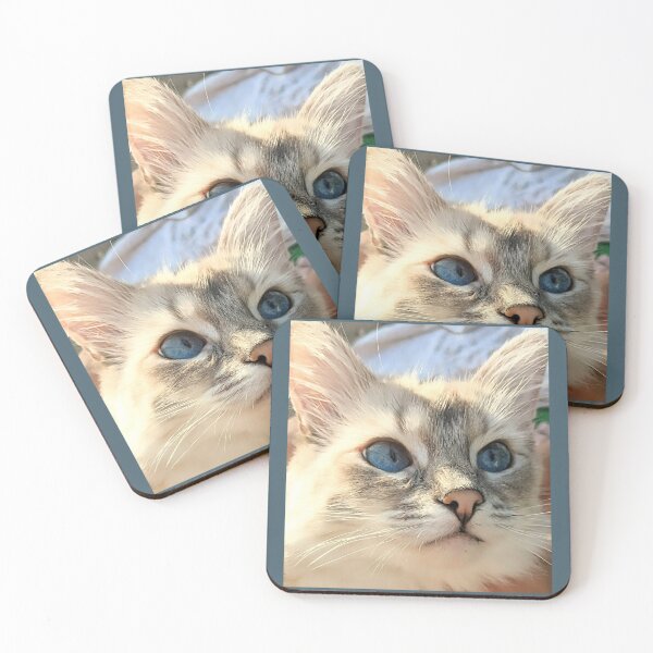 Item preview, Saoirse the ragdoll cat designed and sold by Fluffycat2020.