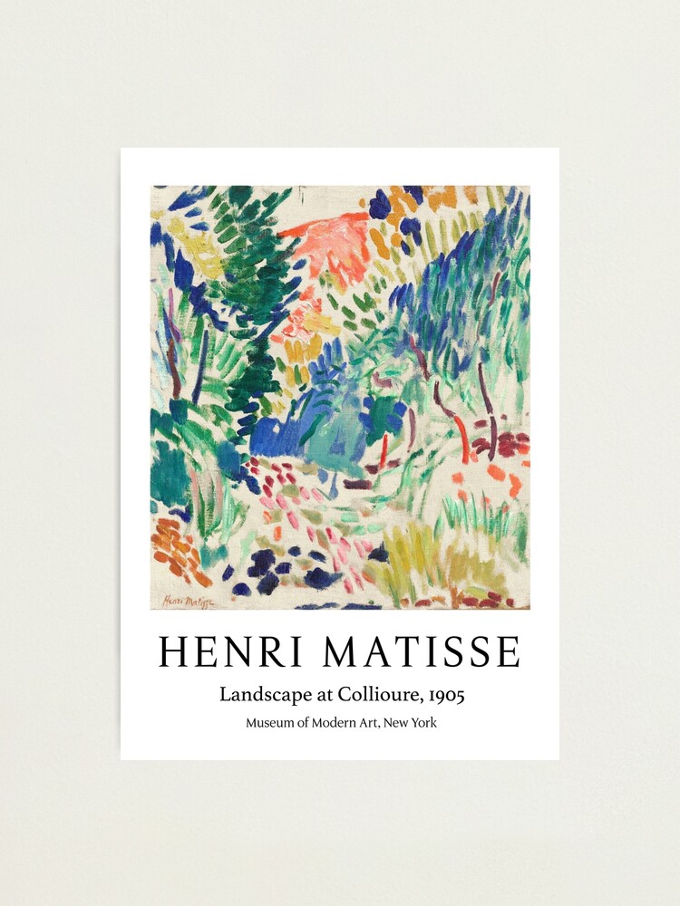 MATISSE litgraphies EAUX FORTESギャラリーポスター MATISSE litgraphies EAUX FORTES gallery poster | eBay