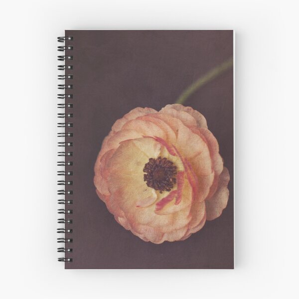 Item preview, Winter Ranunculus  designed and sold by Nicola  Pearson.