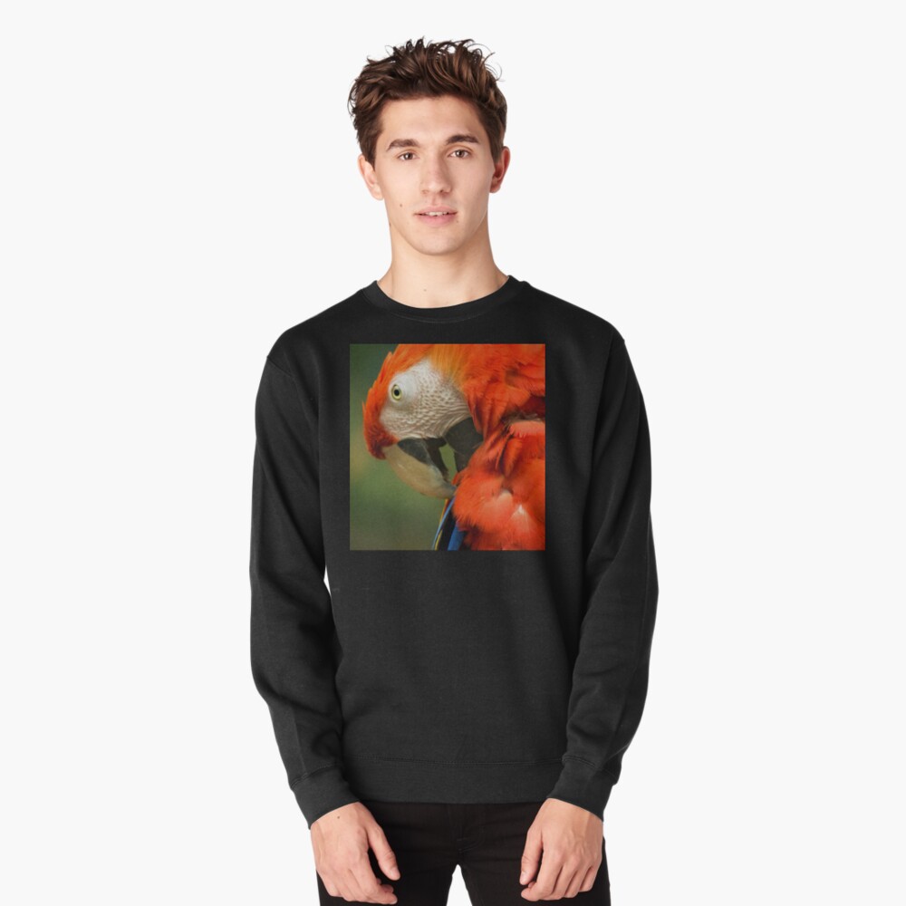 Item preview, Pullover Sweatshirt designed and sold by steppeland.