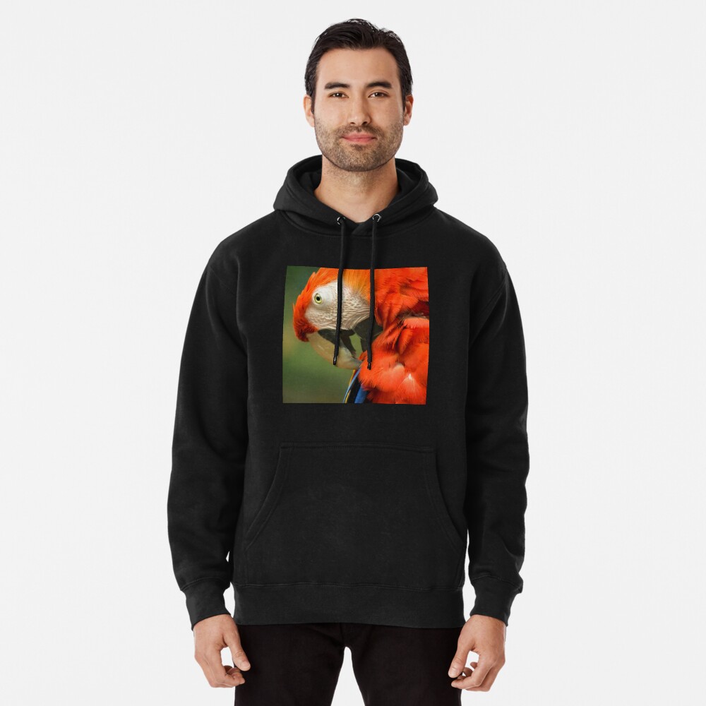 Item preview, Pullover Hoodie designed and sold by steppeland.