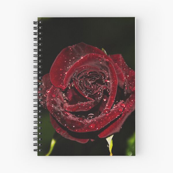 Item preview, Rose designed and sold by Ibreathart.