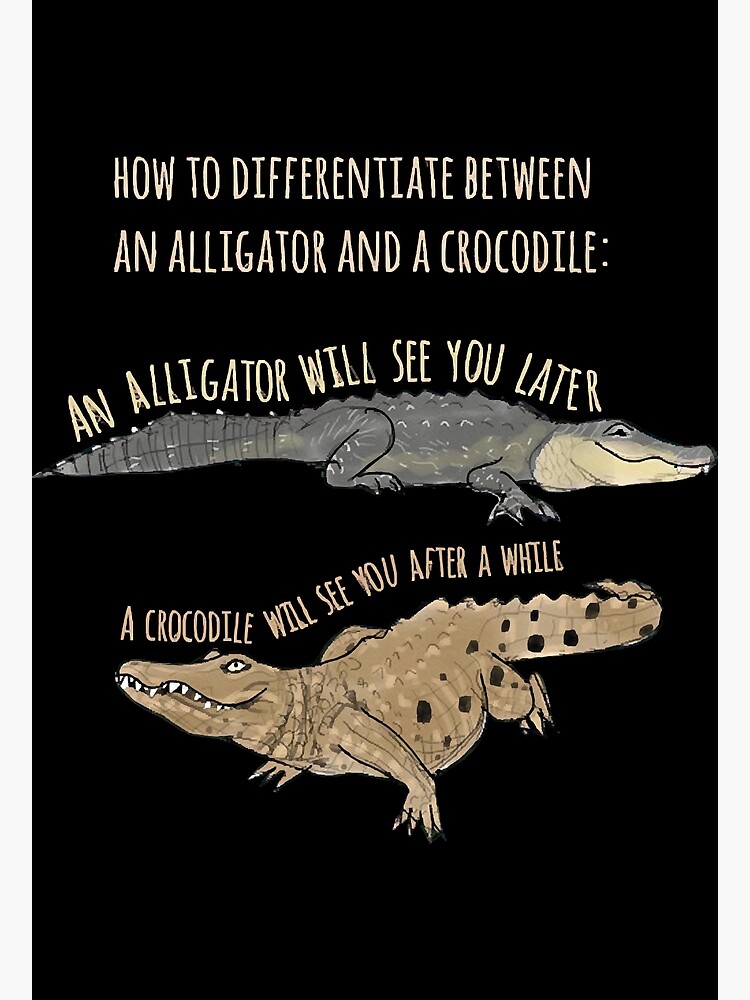 Funy Crocodile