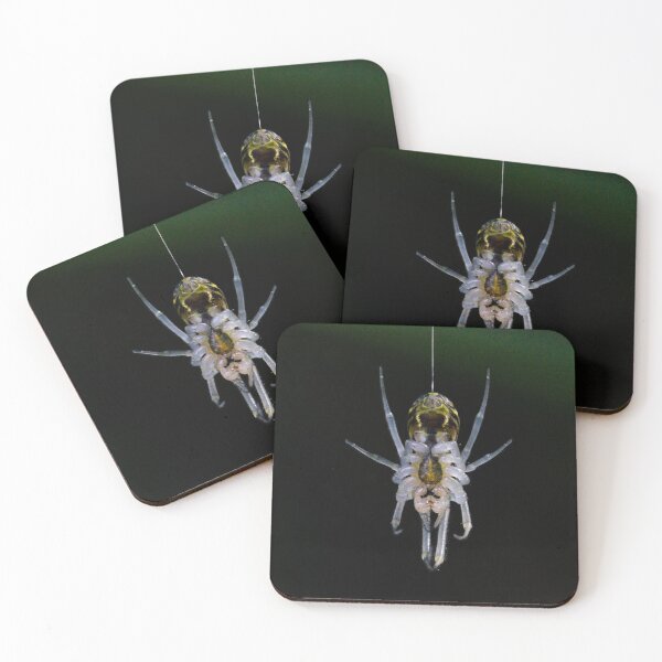 Item preview, Hanging Spider designed and sold by NickZed.