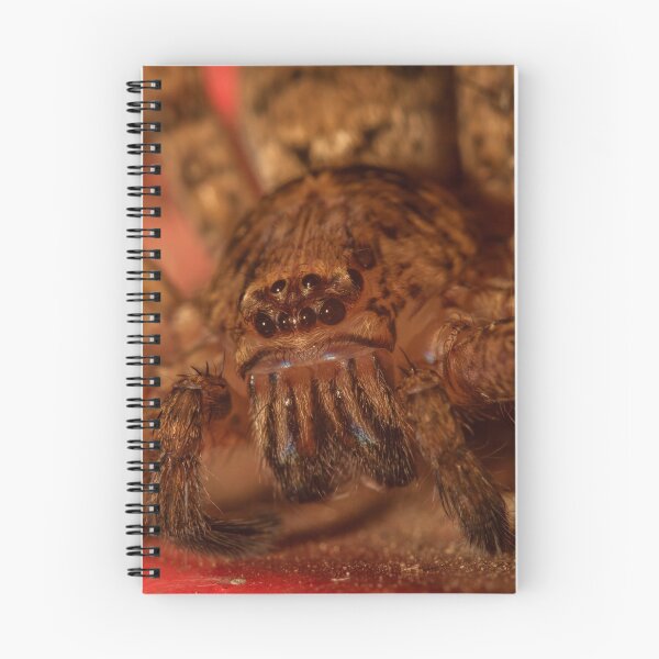 Item preview, Huntsman Spider Macro Shot designed and sold by NickZed.