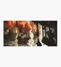 Autumn forests Photographic Print