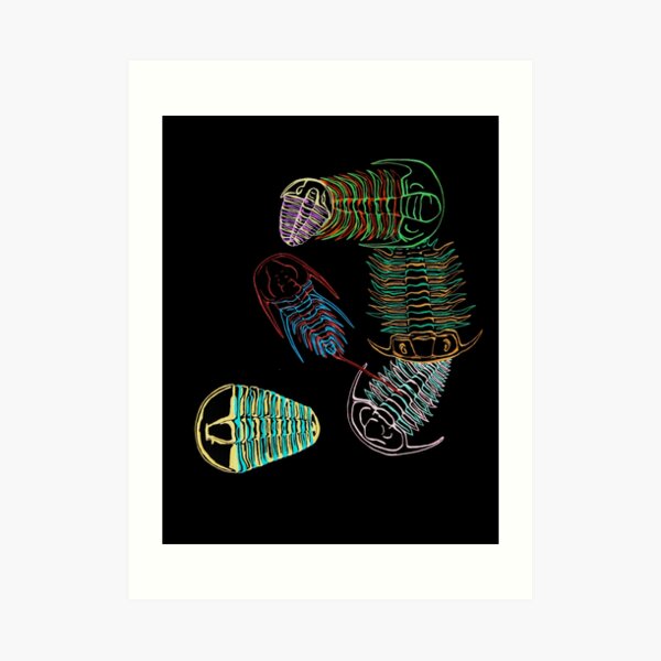 Cambrian Era Trilobites 2 Art Print